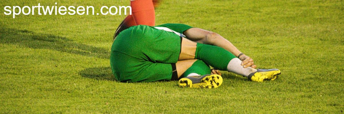 sportwiesen.com